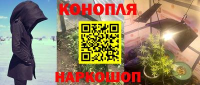 ешки Можга