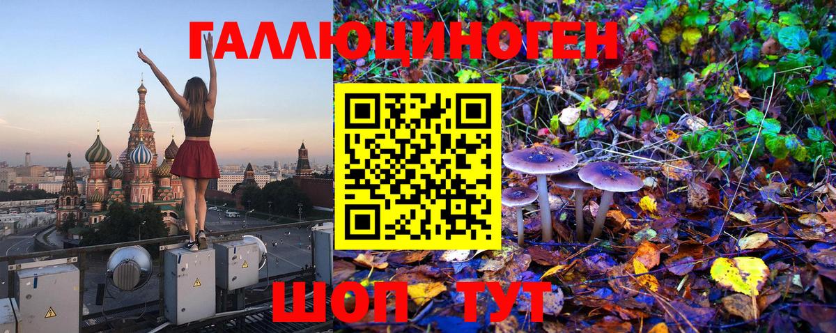 Галлюциногенные грибы MAGIC MUSHROOMS  Вход с VPN  Солнечногорск 