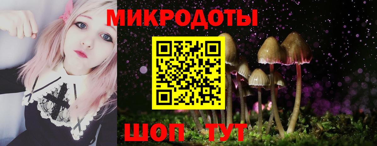 Галлюциногенные грибы Cubensis Солнечногорск